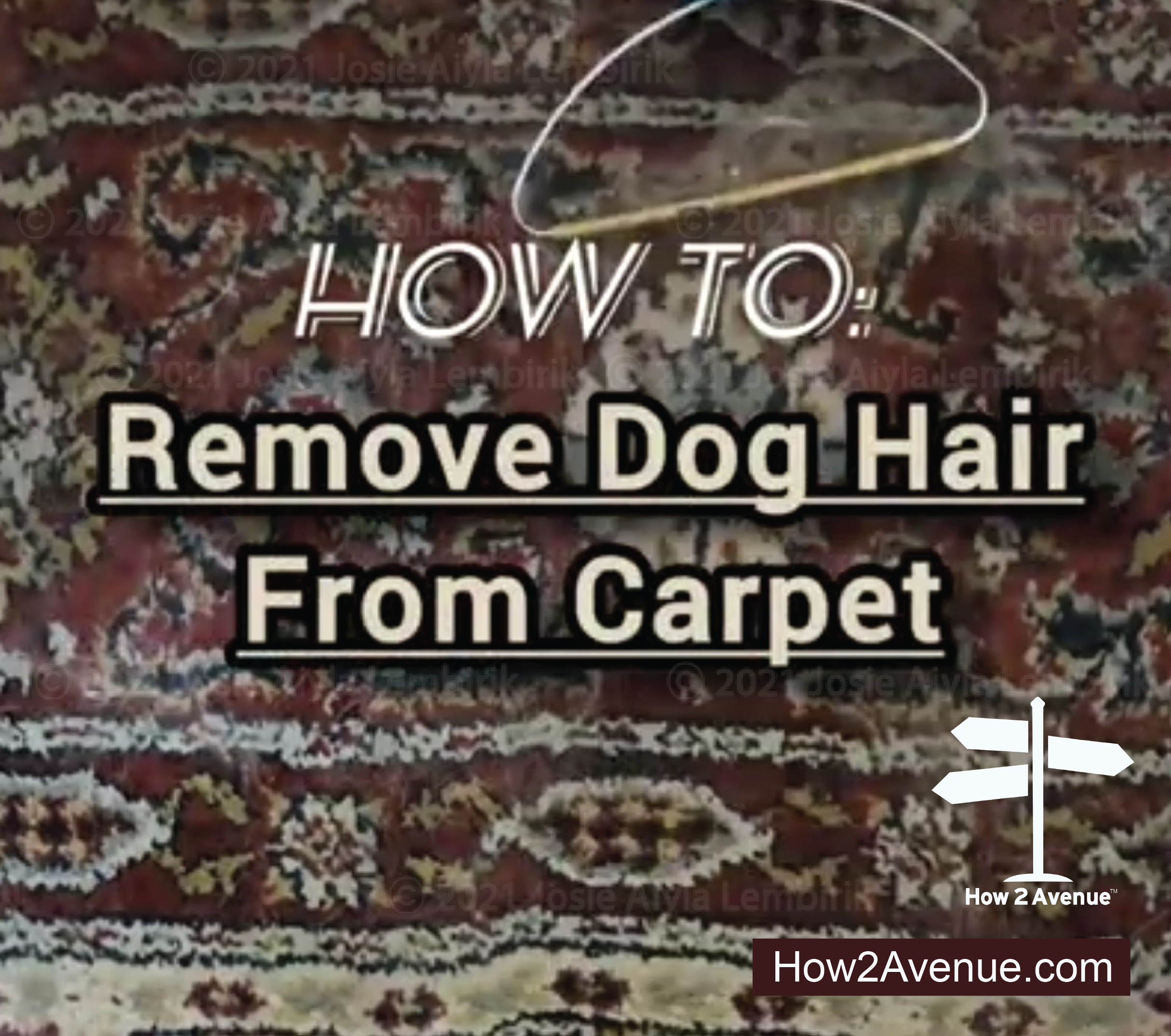 How to Remove Dog Hair From Carpet
